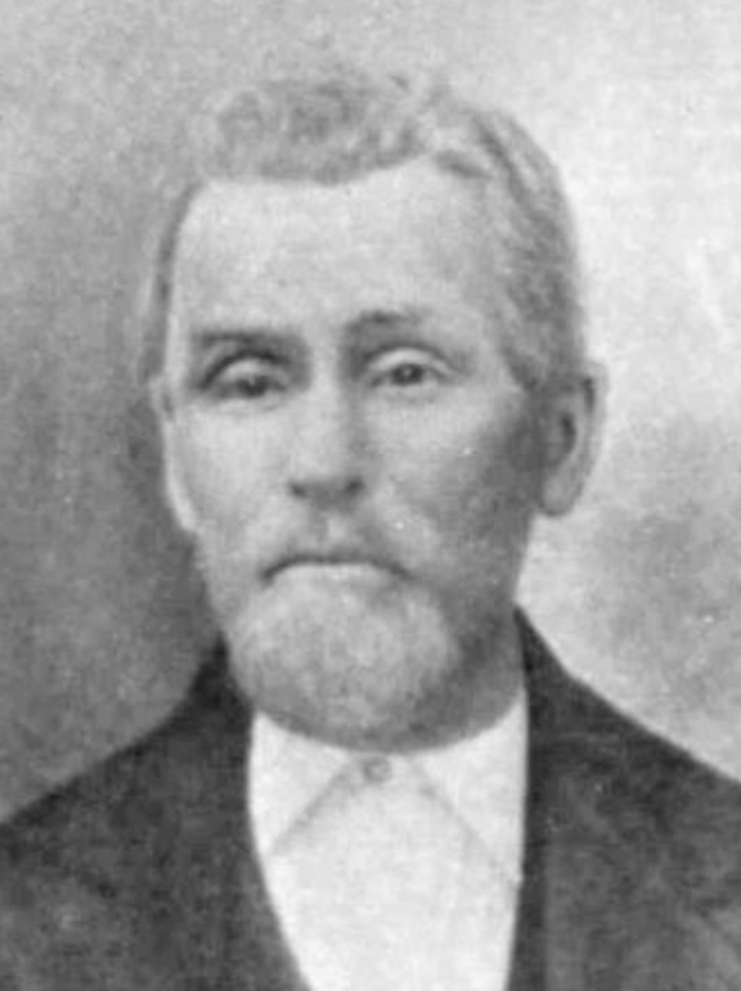 Calvin Bingham (1827 - 1883) Profile